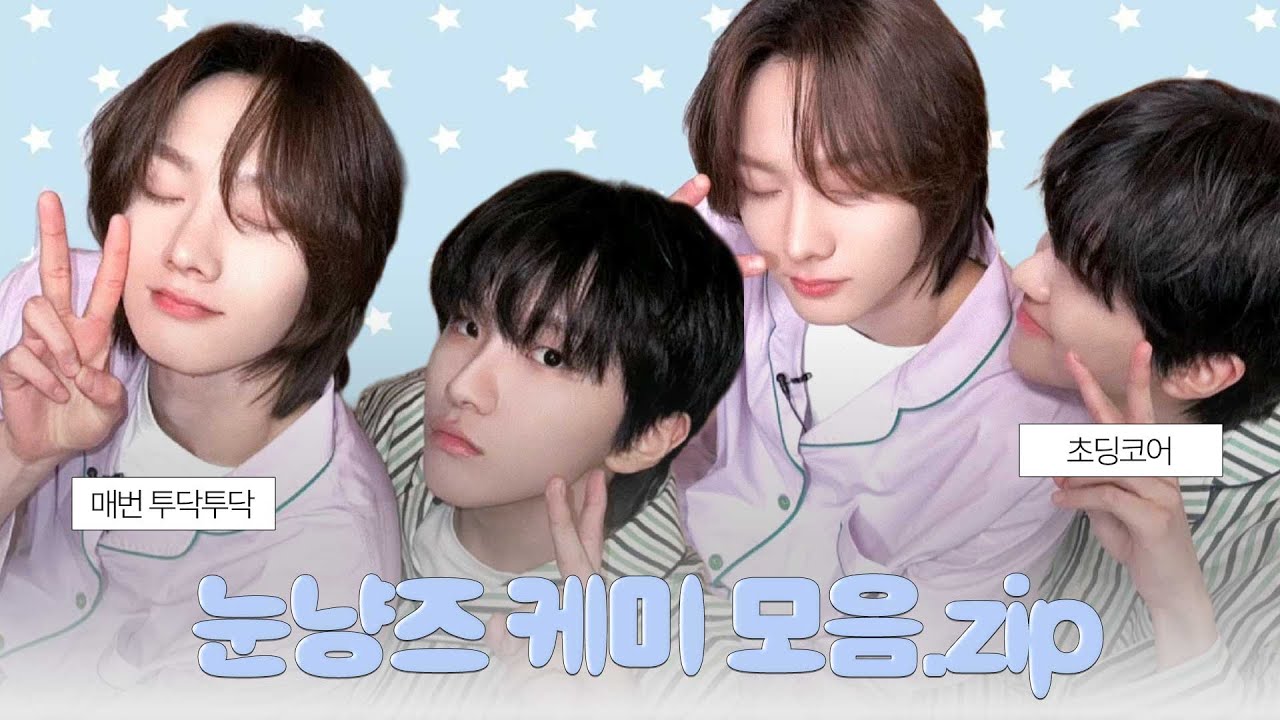 달달 한 스푼 티격태격 한 스푼 눈냥즈 케미.zip