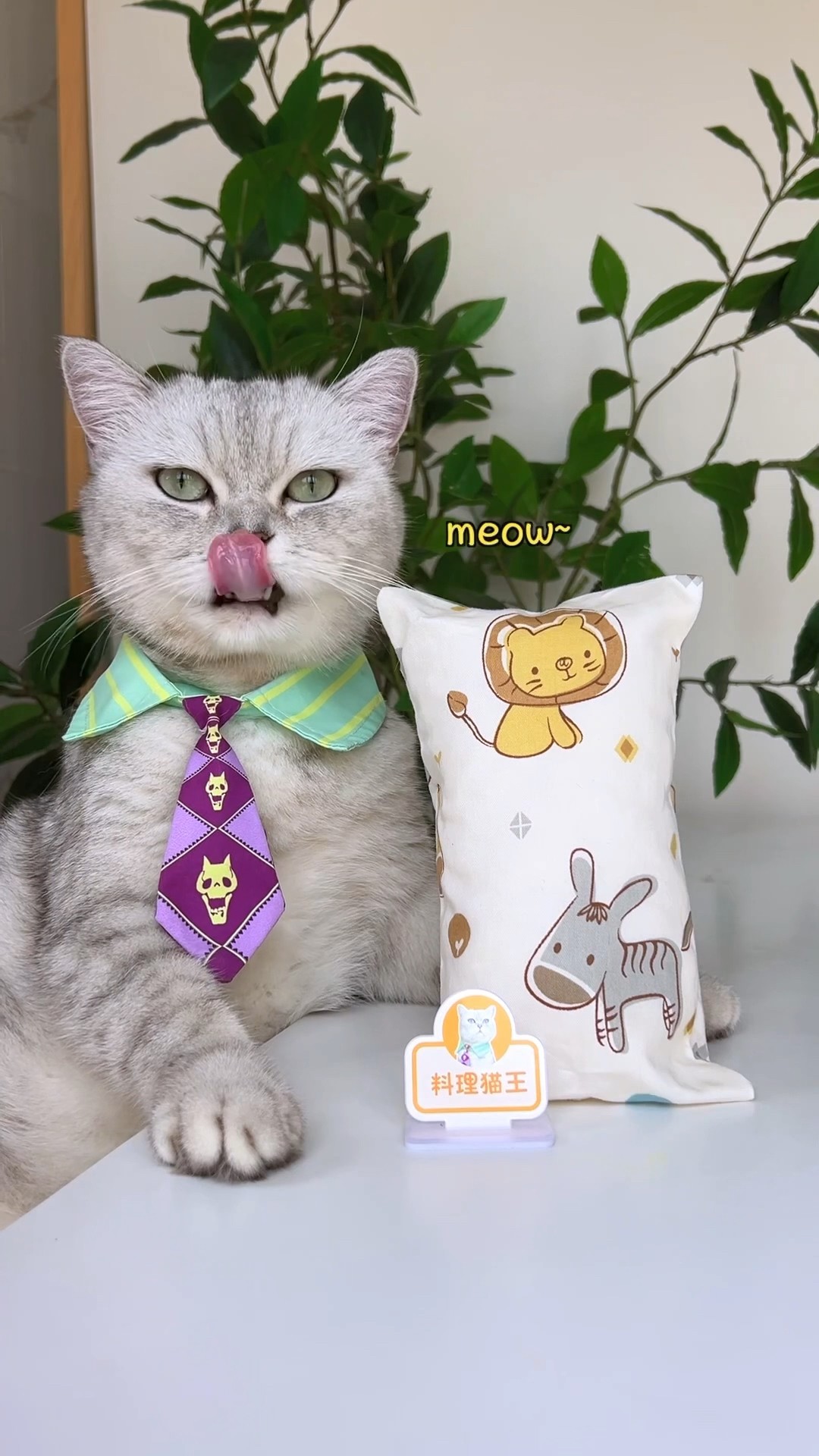 How To DIY A Silk Pillow As Soft As A Cloud??☁️? #catsofyoutube #catvideo #tiktok