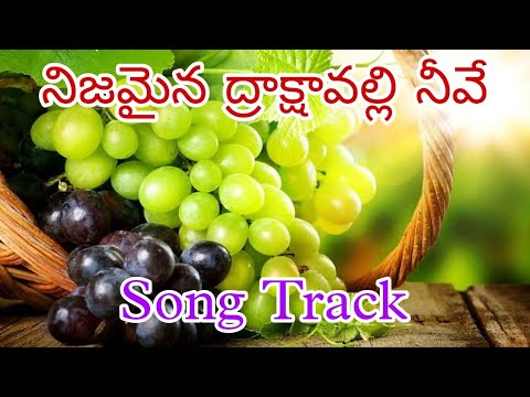 Nijamaina drakshavalli  telugu Christian songs Tracks with lyrics