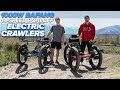 1000WATT Electric Fat Tad Crawlers with 14-speed ROHLOFF speed hub - Take the road less traveled