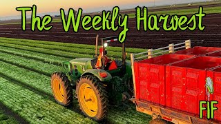E13.5: National Farmworkers Awareness Week