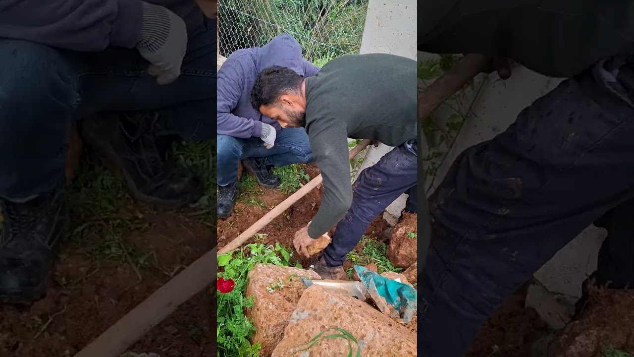 Planting 3arishe!!  #farm #nature #plants #planting #rain