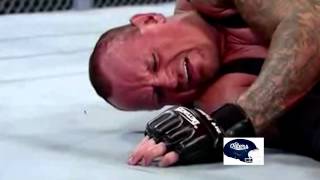 WWE Wrestlemania 28 The Undertaker vs. Triple H Highlights/Tribute