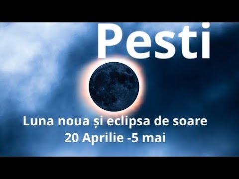 Video: Cum să-i înveți pe taurul tău să se așeze