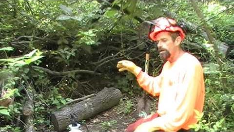 jimwardwhitetailacademy.com - The Trap....Buck Beds and Maintenance