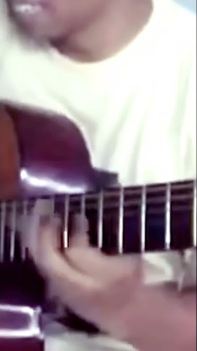 little wing cover alip ba_ta