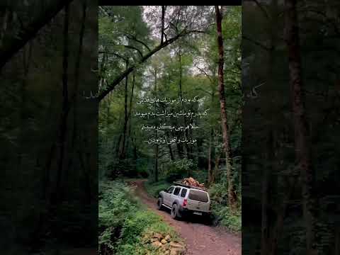 امل جنگل آهنگ جنگلی