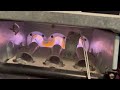 HVAC The problem of burning furnace gas
