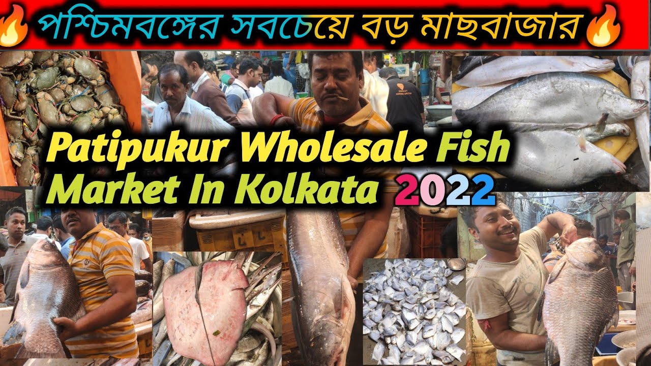 Patipukur Wholesale Fish Market Cheapest fish market in kolkata পাতিপুকুর মাছ বাজার Flying