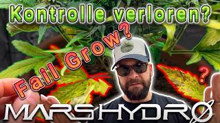 🌱 Grow-Update aus dem Keller | Royal Haze Automatic, OG Kush, Purple Oreos F1 & Living Soil Setup! 🌿