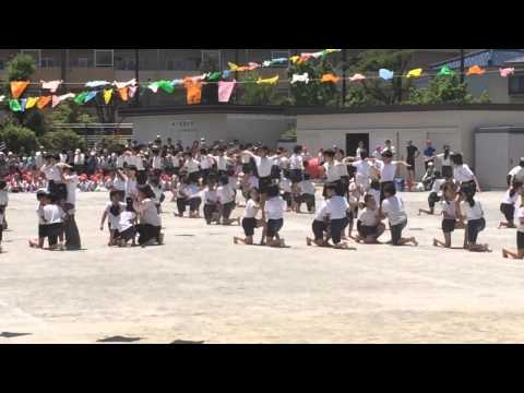 菜々美運動会その2