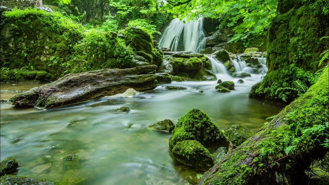 Музыка релакс лес вода. Музыка релакс лес вода. Ручей мелодий. Звук реки. Музыка релакс лес вода.