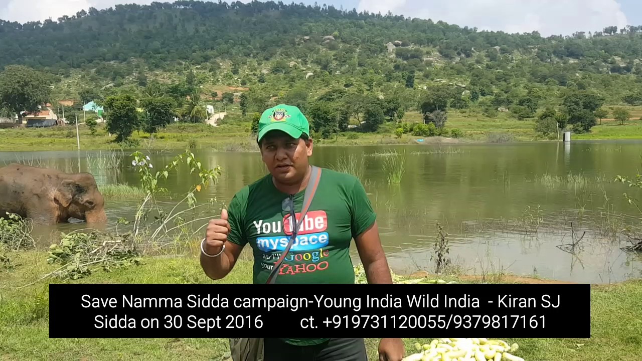 Save Namma Sidda campaign-Young India Wild India, Bengaluru, India, Sept 30th 2016