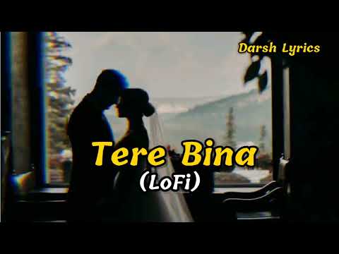 Tere Bina (Lofi) Darsh Lyrics