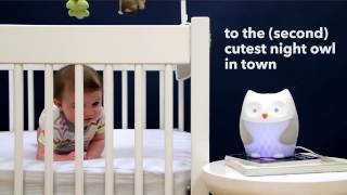 skip hop moonlight & melodies owl nightlight soother