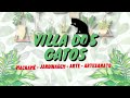 Nova Vinheta do Canal