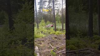 ERC Sweden stage 1