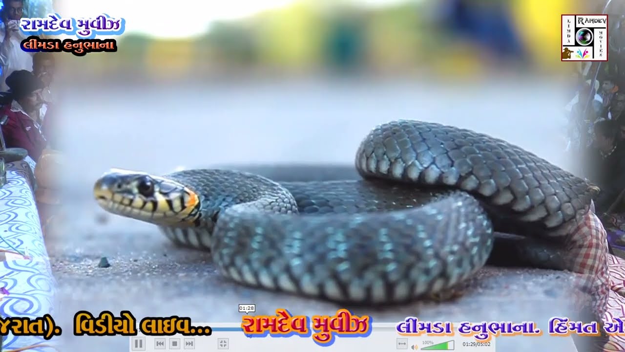પરમાર પરિવાર | Parmar Parivar | Navagam (ga) Mandvo Part-12 Khanadada Parmar Pranpratithan  8-2-2022