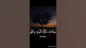 القارئ اسلام صبحي ﴿ولقد خلقنا الإنسان ونعلم ما توسوس به نفسه ۖ ونحن أقرب إليه من حبل الوريد﴾