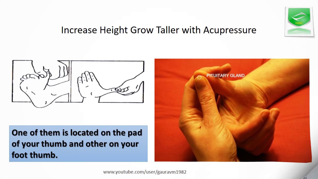 Increase Height Grow Taller with Acupressure 