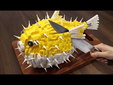 Catch & Cook