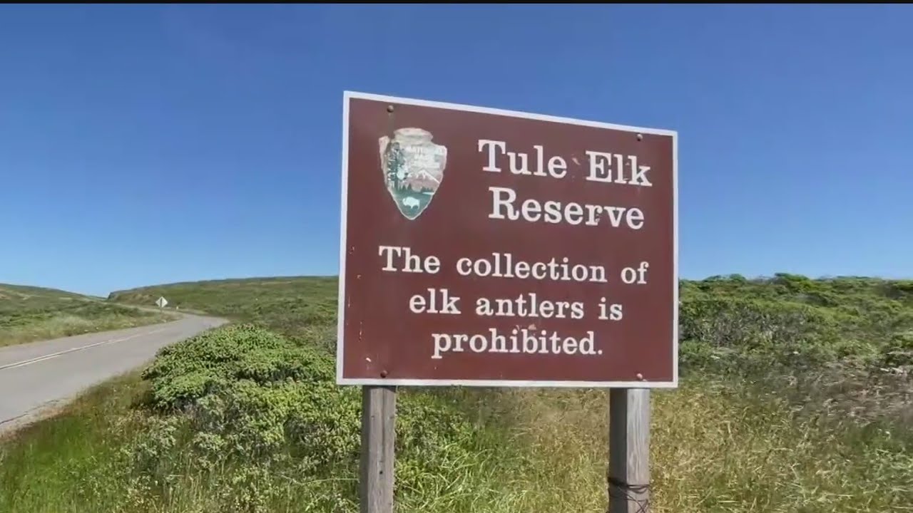 Point Reyes Protest Activists, ranchers clash over proposed changes to Point Reyes nature ...