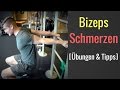 Schmerzen in der Bizepssehne (unterer Teil) - Schmerzen bei Bizeps-Curls │Mischa Kotlyar