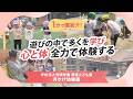 動画サムネイル