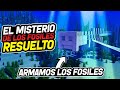 El Misterio de los fósiles RESUELTO (Armamos los fósiles y se formaron estas criaturas)