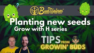 Planting New Seeds - GROW WITH H