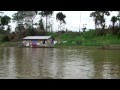 ASSIM É A VIDA NA SELVA - AMAZÔNIA