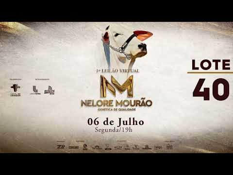 LOTE 40   MOR 16 70 62