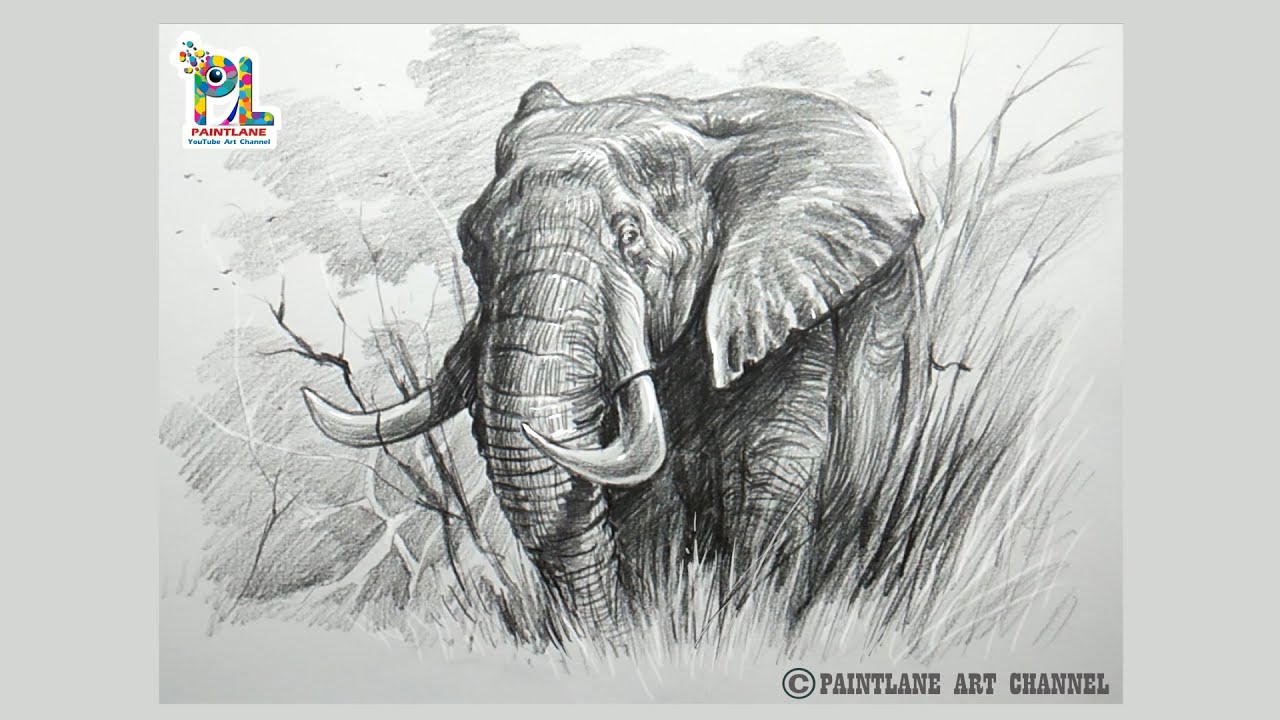 Pencil drawing elephant with easy pencil strokes step by step art ...