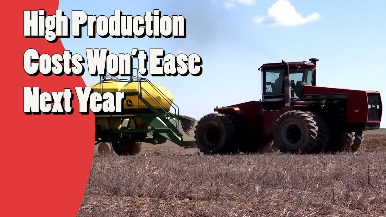 High Production Costs Won't Ease Next Year 