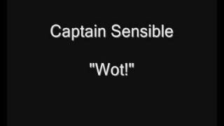 Captain Sensible - Wot [HQ Audio]