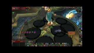 Ulduar Auriaya 10 Nine Lives Death Knight Solo by Akimandia