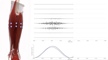 NeuroDec: Realistic sEMG simulation, toy example: wrist flexion /wrist extension.