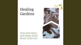 Alone Soul on Beach