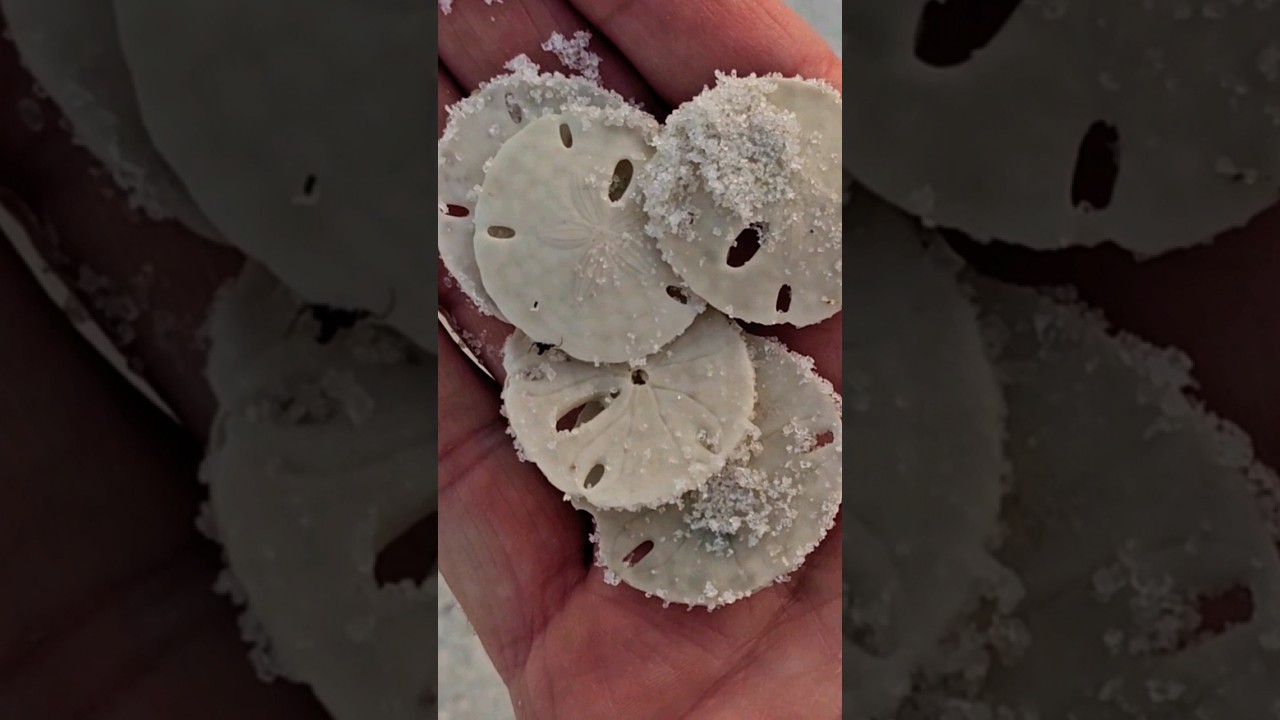 ALMOST lost that one 😬🤯