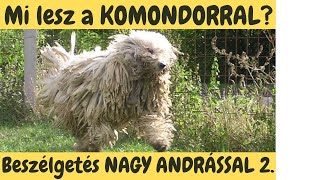 Mi lesz a KOMONDOROKKAL? Beszélgetés Nagy Andrással 2.  DogCast TV