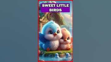 🔵 𝗦𝗪𝗘𝗘𝗧 𝗟𝗜𝗧𝗧𝗟𝗘 𝗕𝗜𝗥𝗗𝗦🔴 𝙔𝙊𝙐𝙏𝙐𝘽𝙀 𝙋𝙍𝙀𝙈𝙄𝙐𝙈 😲 #birds #animals #naturelovers #diy #sweet