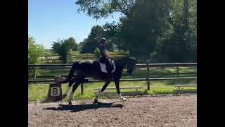 Legolas 3Yo La Vie X Dr. Doolittle