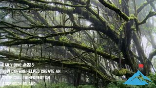 Daily Dive # 225 | How Darwin Helped Create an Artificial Rainforest on Ascension Island