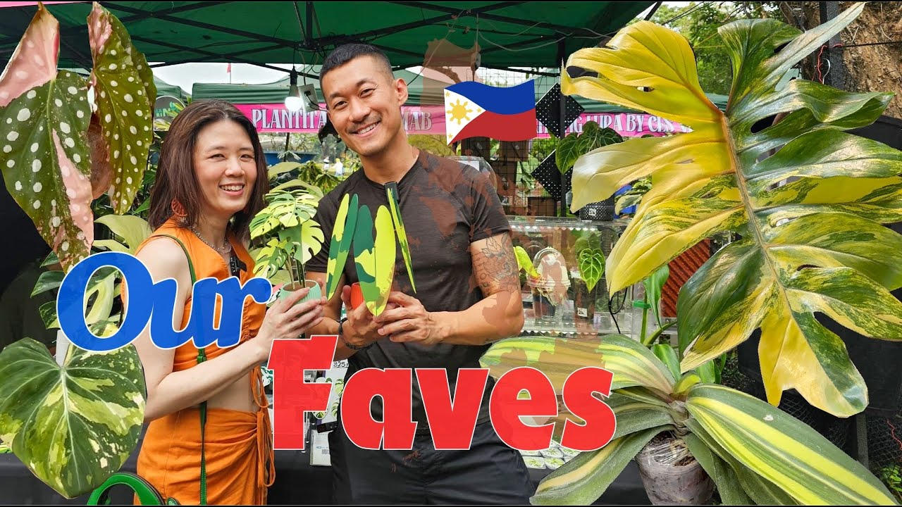 10 Plants We Wish We Could Take Home from Plant Convergence! Manila 🇵🇭 @Leafing Around