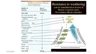 Igneous Rocks