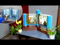 Aquarium idea you SHOULD try once in your life | PVC fish tank ideas