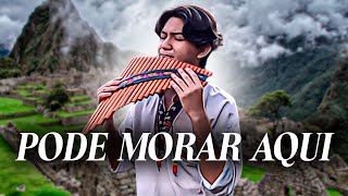 Pode Morar Aqui - Theo Rubia | Flauta Pan | Samuel Ancco