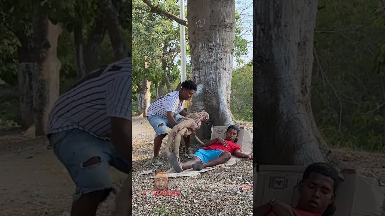 el 🧟 dormilon 💤 #viral