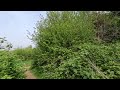 Warlingham Footpath 90/Croydon Footpath 23 - Caterham &amp; Warlingham Rights of Way