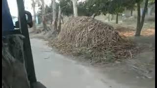 Download lagu terai mini vlog